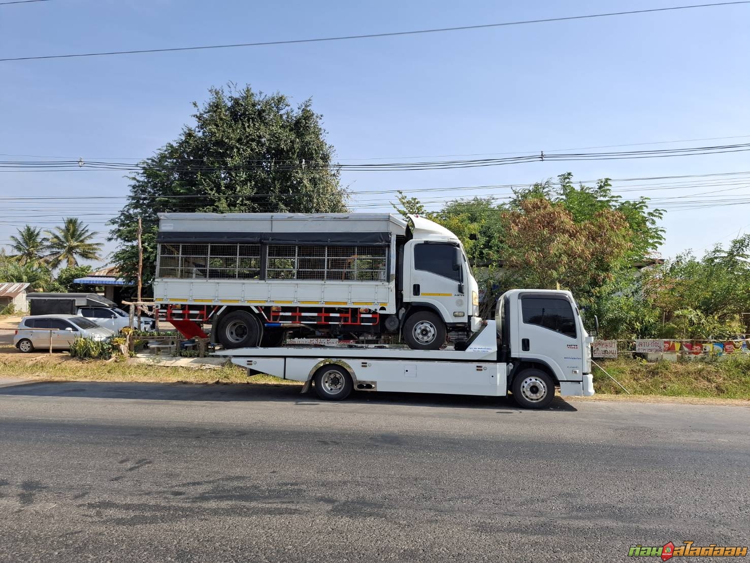 อีซูซุ NPR150 บ.ไทรงาม ชัยภูมิ ➤ อ.บึงสามพัน