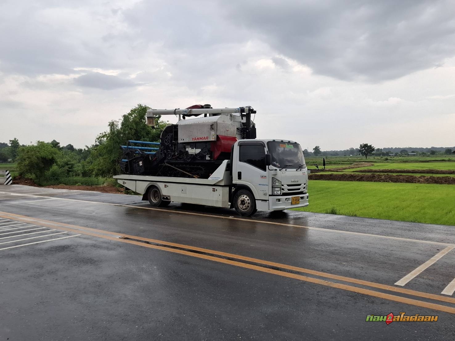 รถเกี่ยว Yanmar YH850 อ.มัญจาคีรี ➤ อ.ภูเขียว ชัยภูมิ